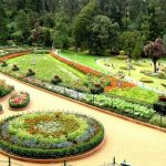 government botanical grden(ooty)