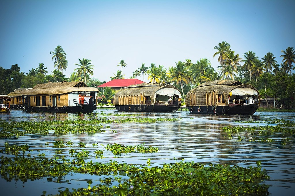 Alleppey