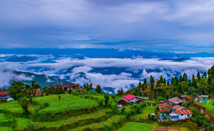 darjeeling