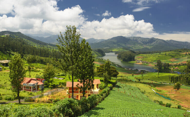 ooty